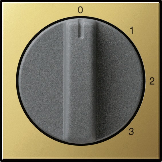 Накладка на поворотный выключатель Gira SYSTEM 55, латунь, 0669604, G0669604