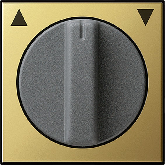 Накладка на жалюзийный выключатель Gira SYSTEM 55, латунь, 0666604, G0666604